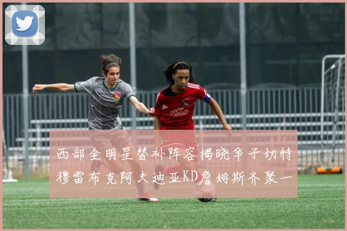 西部全明星替补阵容揭晓华子切特穆雷布克阿夫迪亚KD詹姆斯齐聚一堂